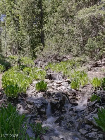 $1,250,000 | 4075 Cougar Ridge Trail, Mount Charleston, NV 89124