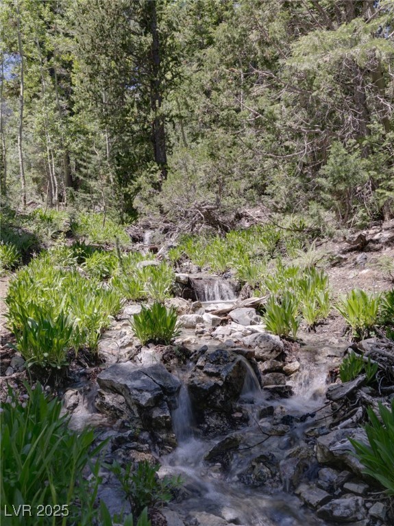 4075 Cougar Ridge Trail Mount Charleston, NV 89124 - Photo 63 of 69
