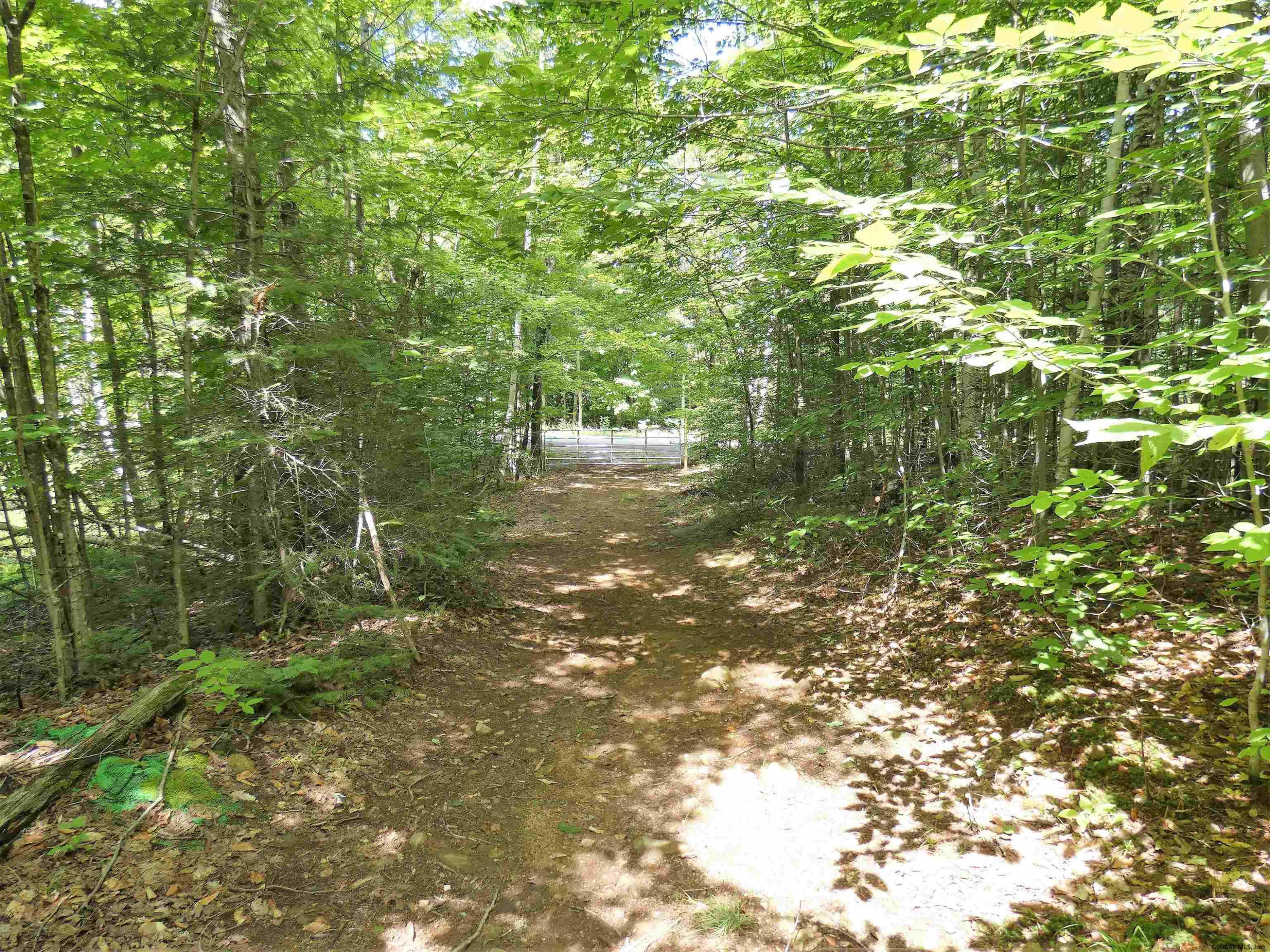 246 Goodman Road Johnsburg, NY 12843 - Photo 38 of 42 Photo 38