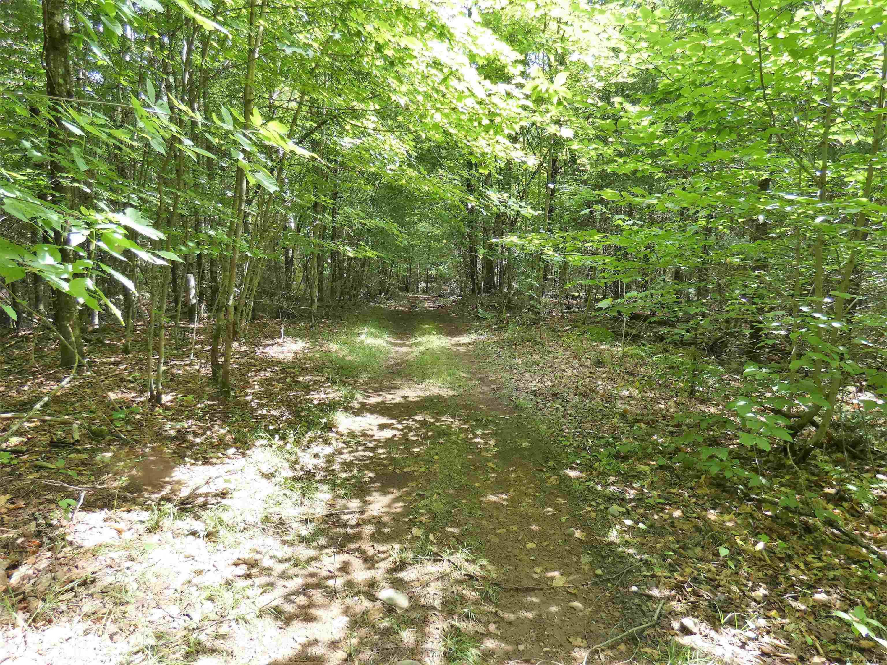 246 Goodman Road Johnsburg, NY 12843 - Photo 39 of 42 Photo 39