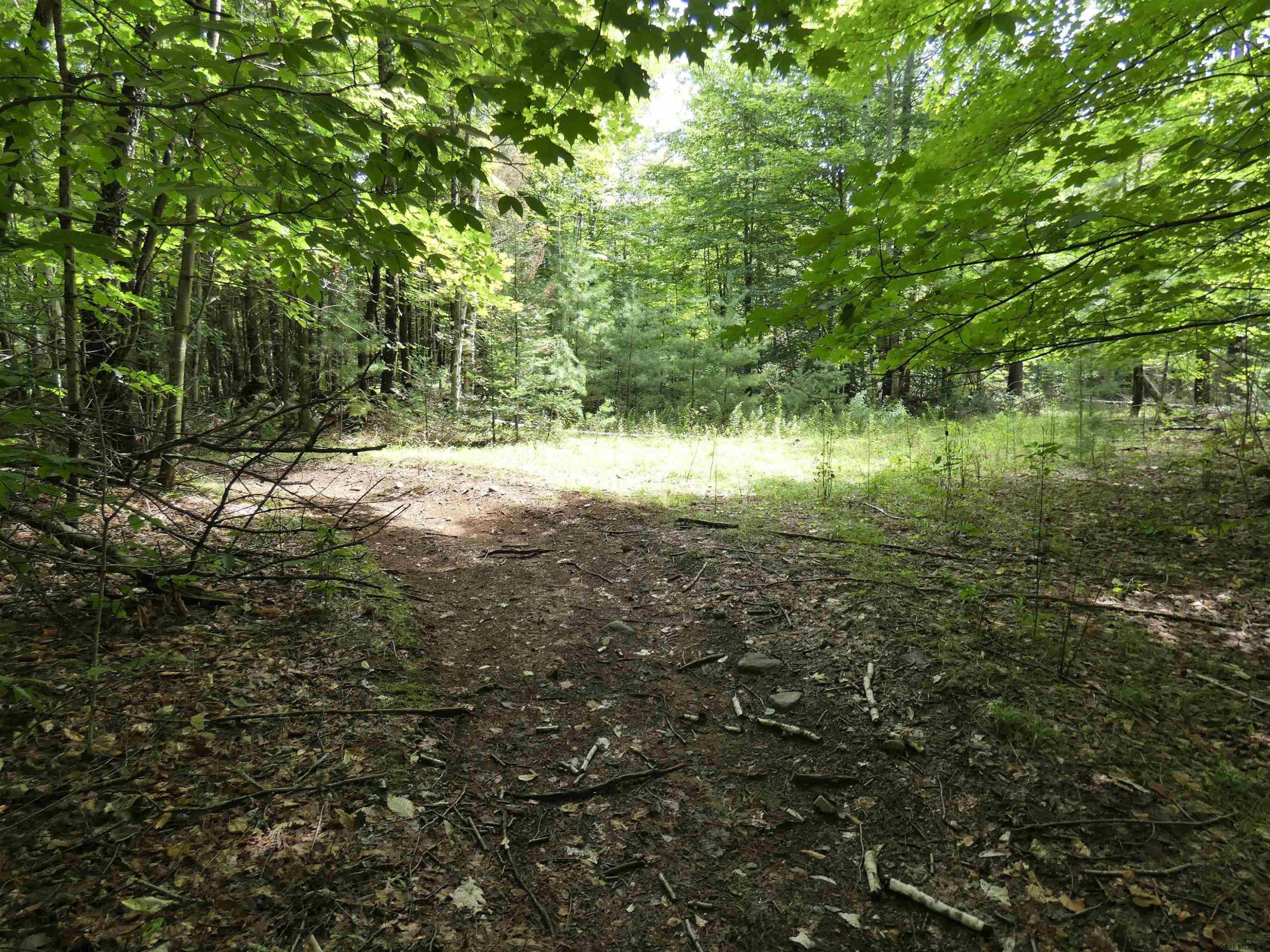 246 Goodman Road Johnsburg, NY 12843 - Photo 40 of 42 Photo 40