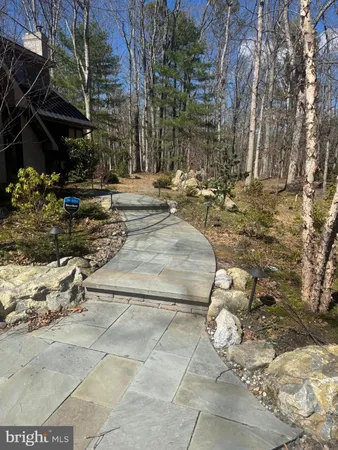 a view of outdoor space with trees
