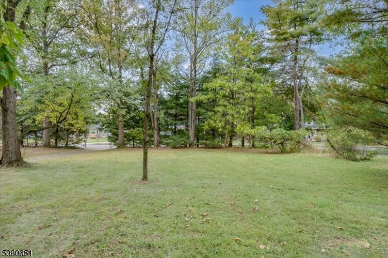 596 Meadow Road Bridgewater, NJ 08807 - Photo 2 of 28