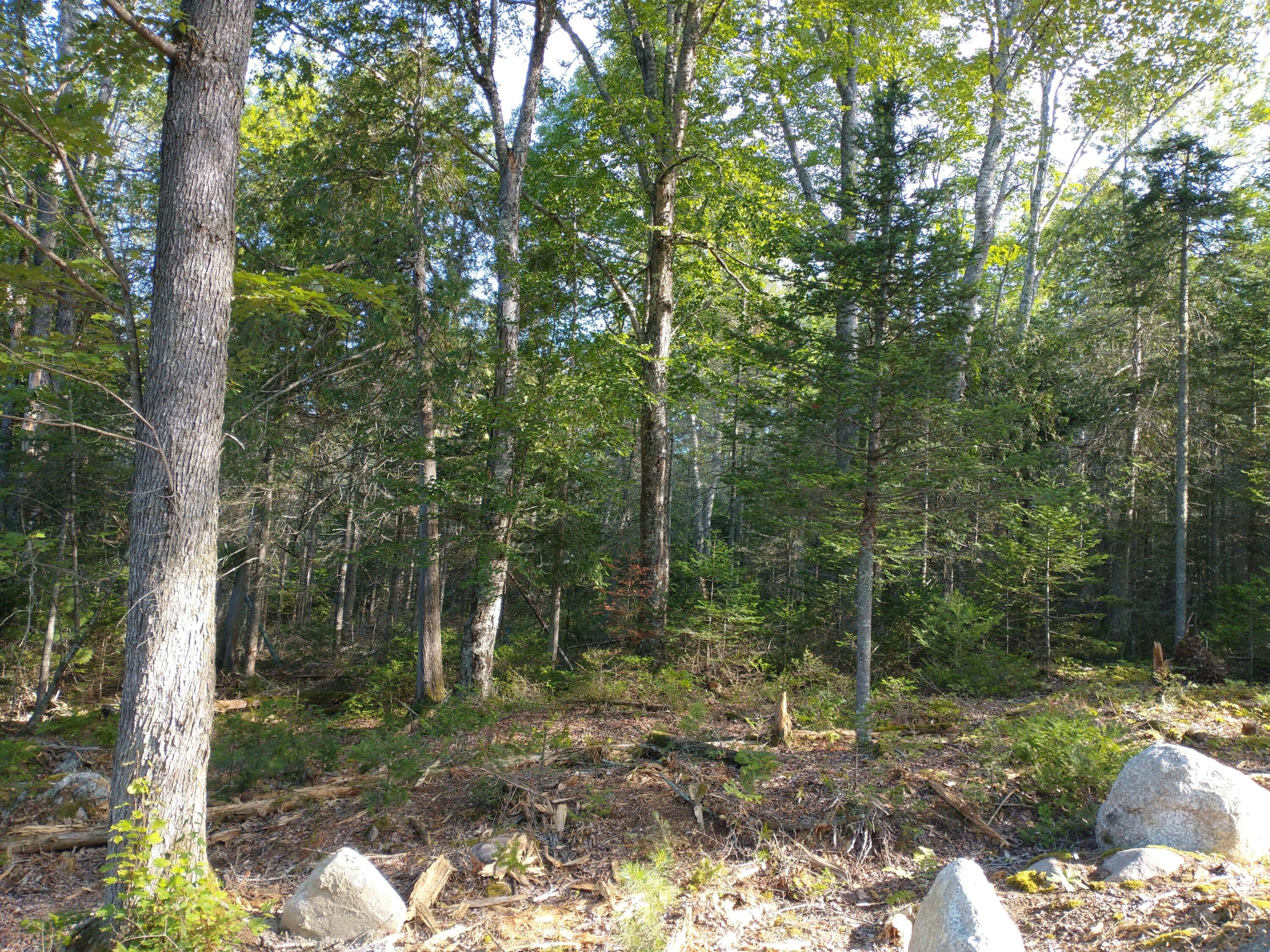 Lot 3 Sunset Hill Road Hancock, ME 04640 - Photo 14 of 16 IMG_20210729_081742246