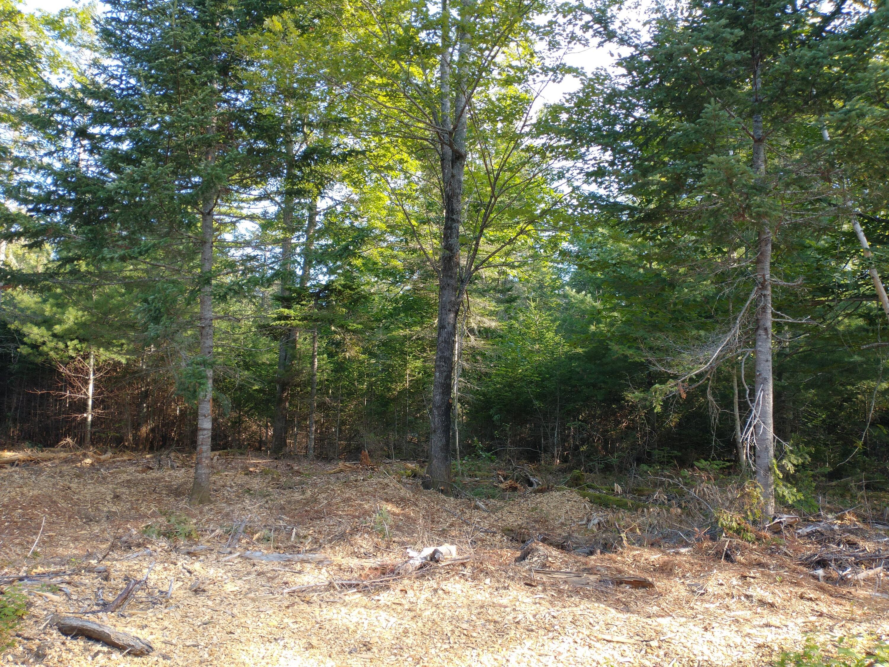 Lot 3 Sunset Hill Road Hancock, ME 04640 - Photo 15 of 16 IMG_20210729_081824703