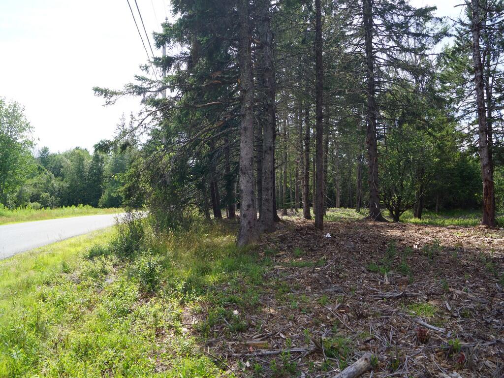 Lot 3 Sunset Hill Road Hancock, ME 04640 - Photo 2 of 16 DSC04617