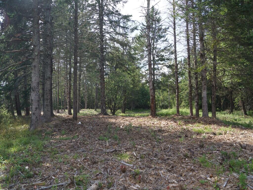 Lot 3 Sunset Hill Road Hancock, ME 04640 - Photo 3 of 16 DSC04618