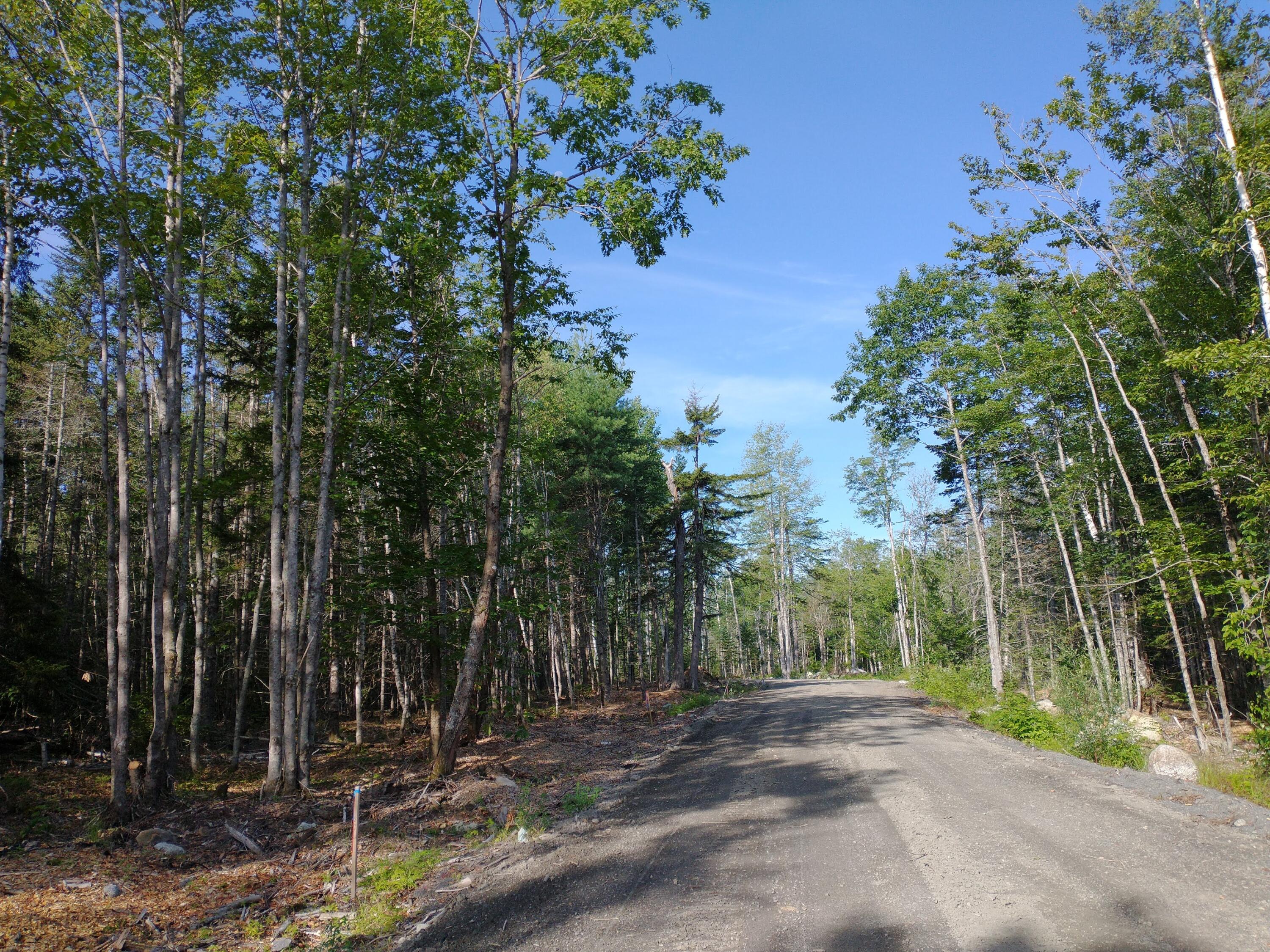 Lot 3 Sunset Hill Road Hancock, ME 04640 - Photo 6 of 16 IMG_20210729_081315069