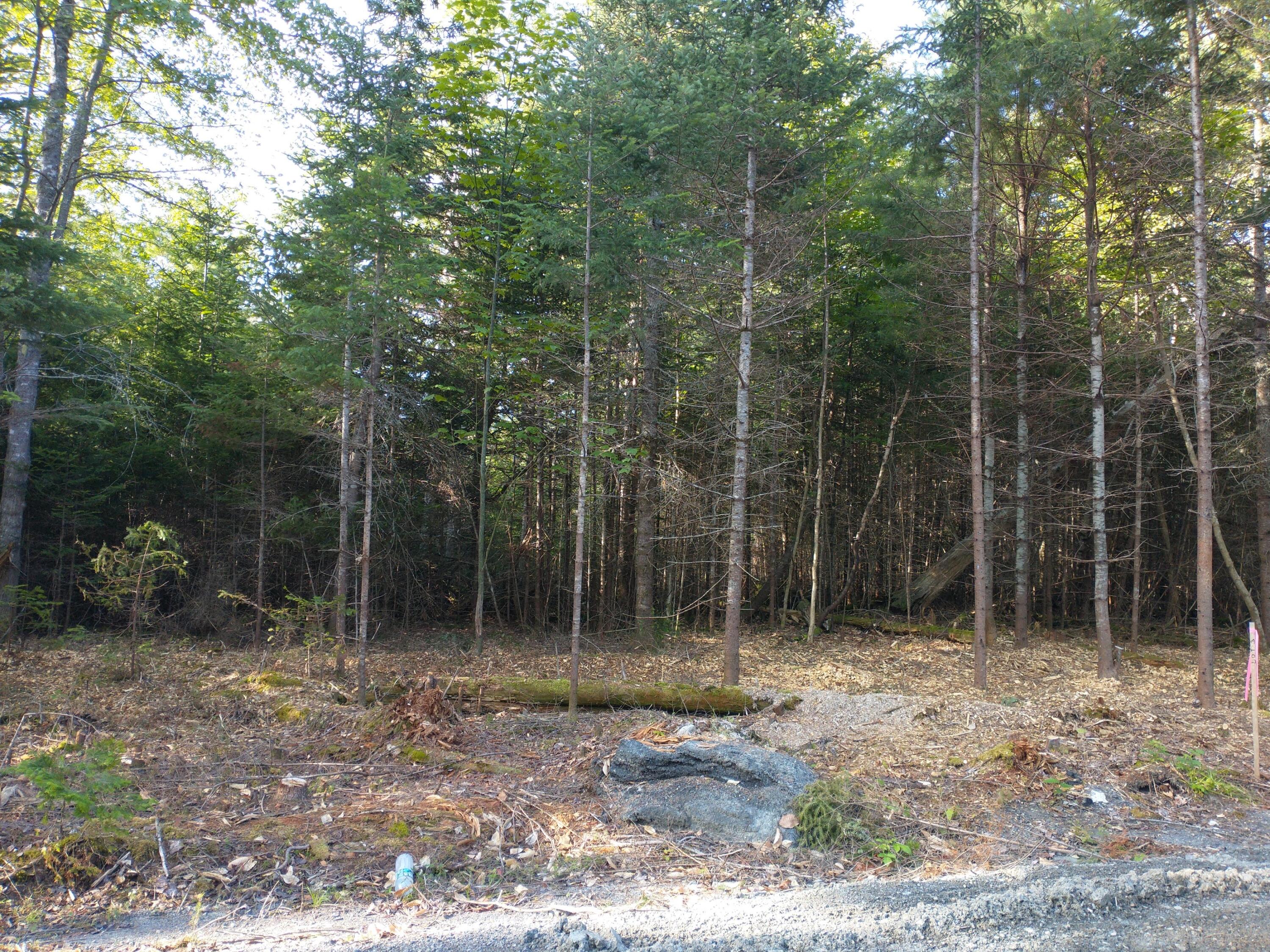 Lot 3 Sunset Hill Road Hancock, ME 04640 - Photo 9 of 16 IMG_20210729_081443677