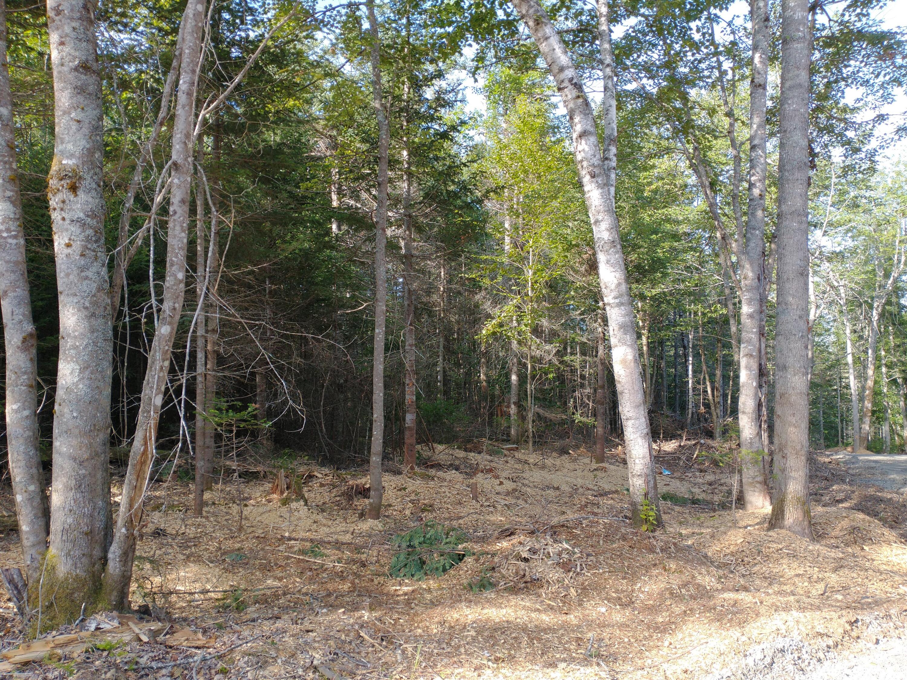 Lot 3 Sunset Hill Road Hancock, ME 04640 - Photo 10 of 16 IMG_20210729_081459411