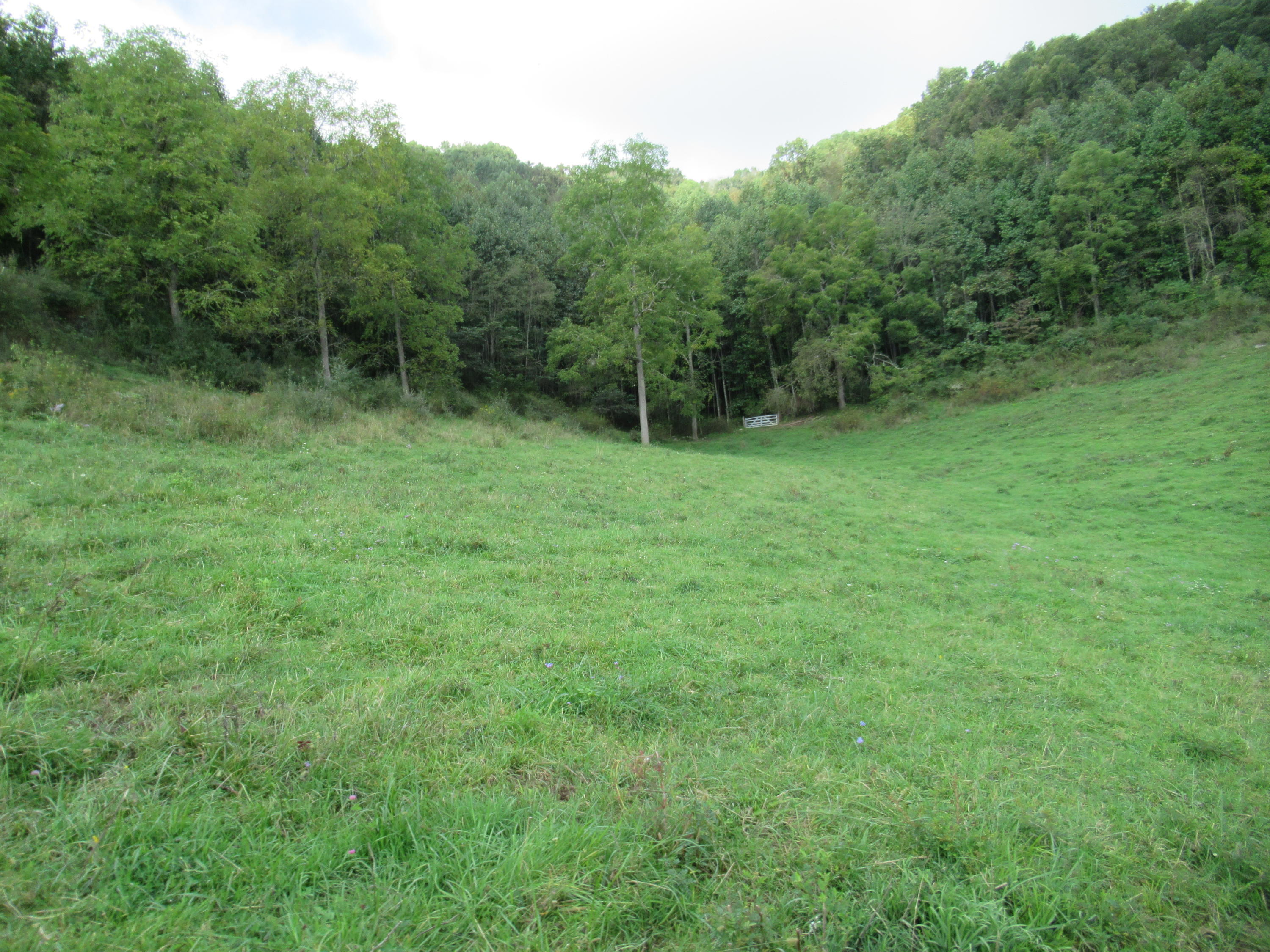 1905 Julia Road Renick, WV 24966 - Photo 33 of 38 Gallery Image 33