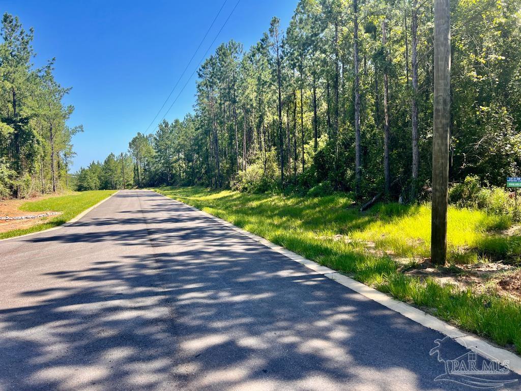 Lot 21-sw Bashi Road Pace, FL 32571 - Photo 2 of 11 Gallery Image 2