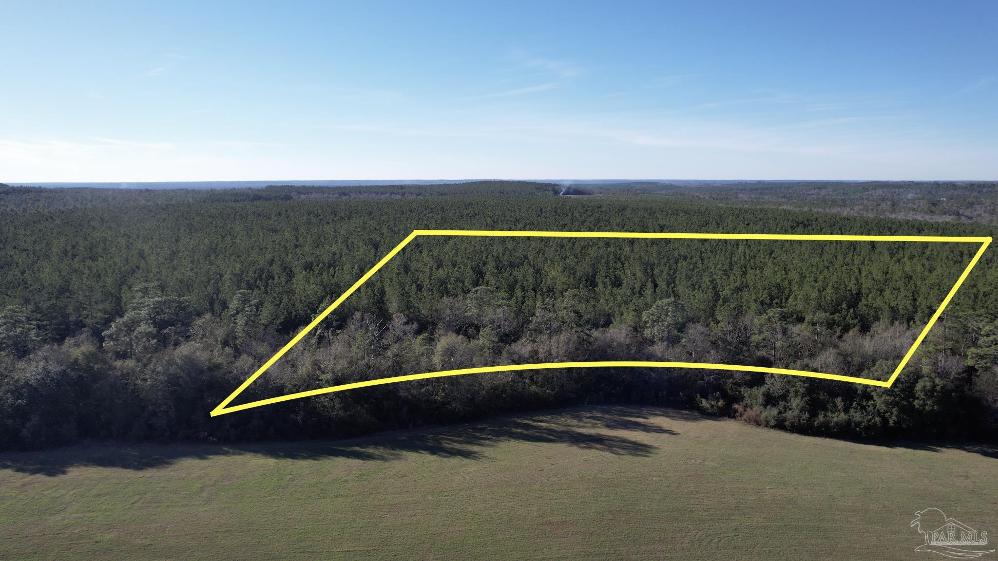 Lot 21-sw Bashi Road Pace, FL 32571 - Photo 6 of 11 Gallery Image 6