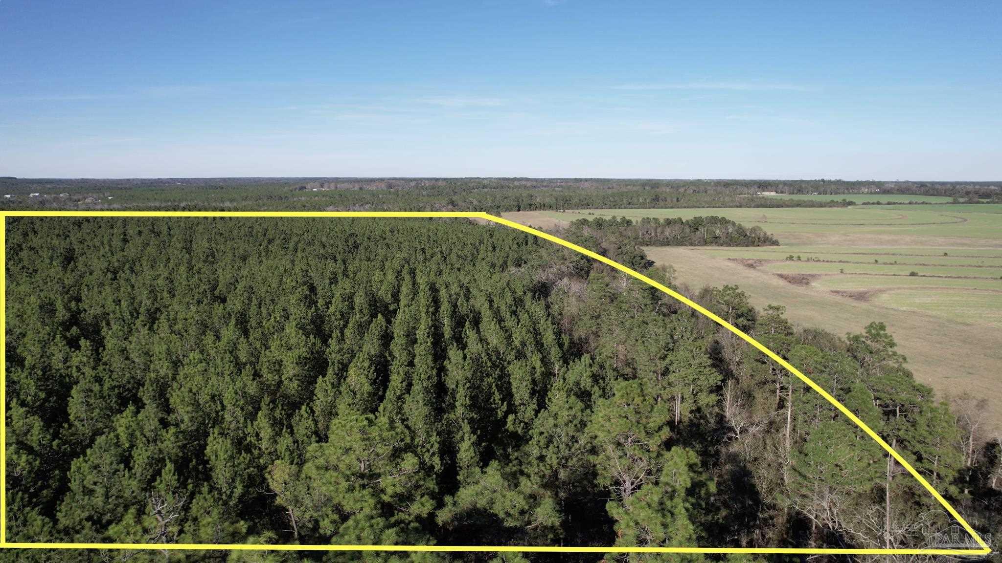 Lot 21-sw Bashi Road Pace, FL 32571 - Photo 8 of 11 Gallery Image 8