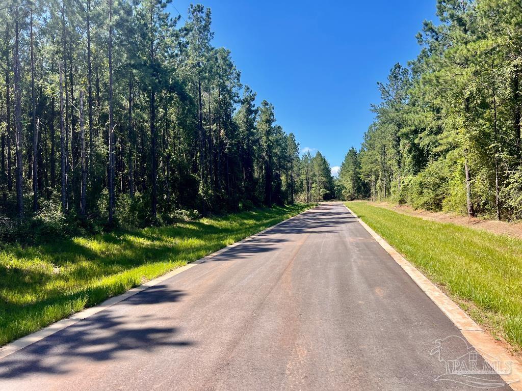 Lot 21-sw Bashi Road Pace, FL 32571 - Photo 10 of 11 Gallery Image 10