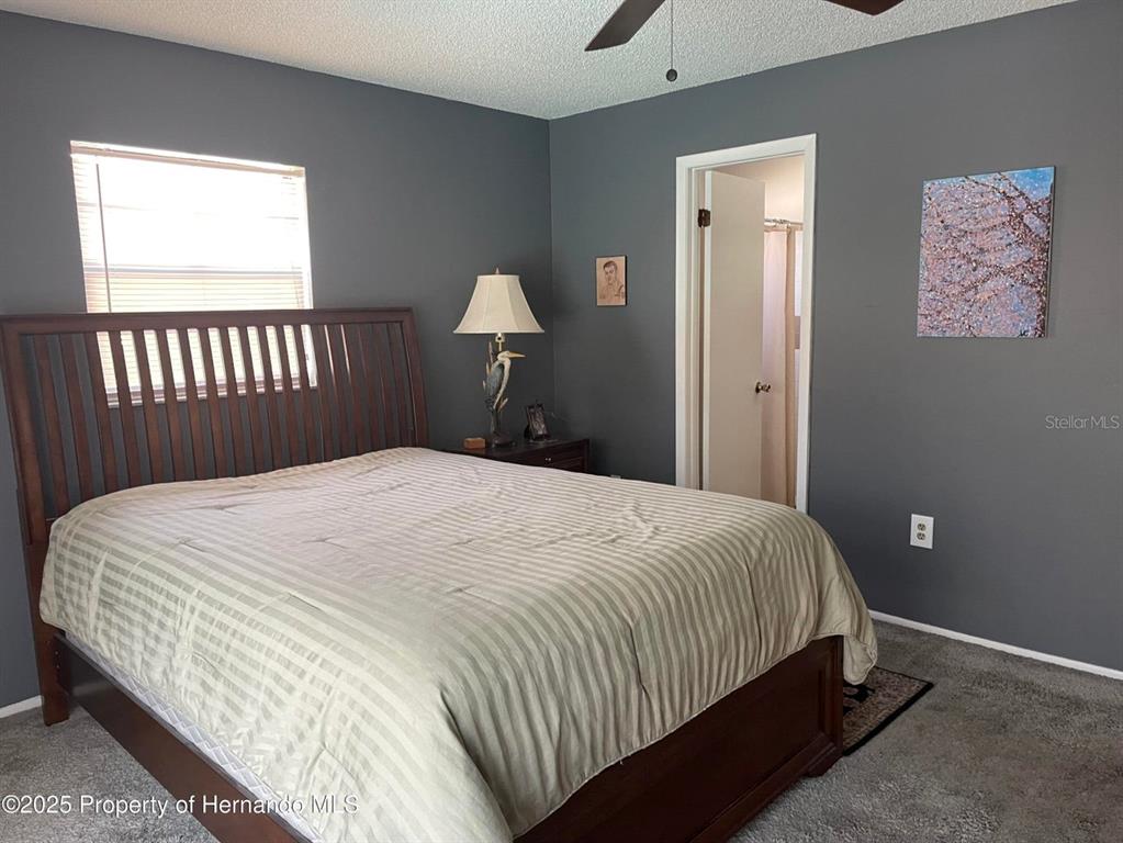 6233 Hancock Avenue Spring Hill, FL 34608 - Photo 9 of 19 a bedroom with a bed and a window