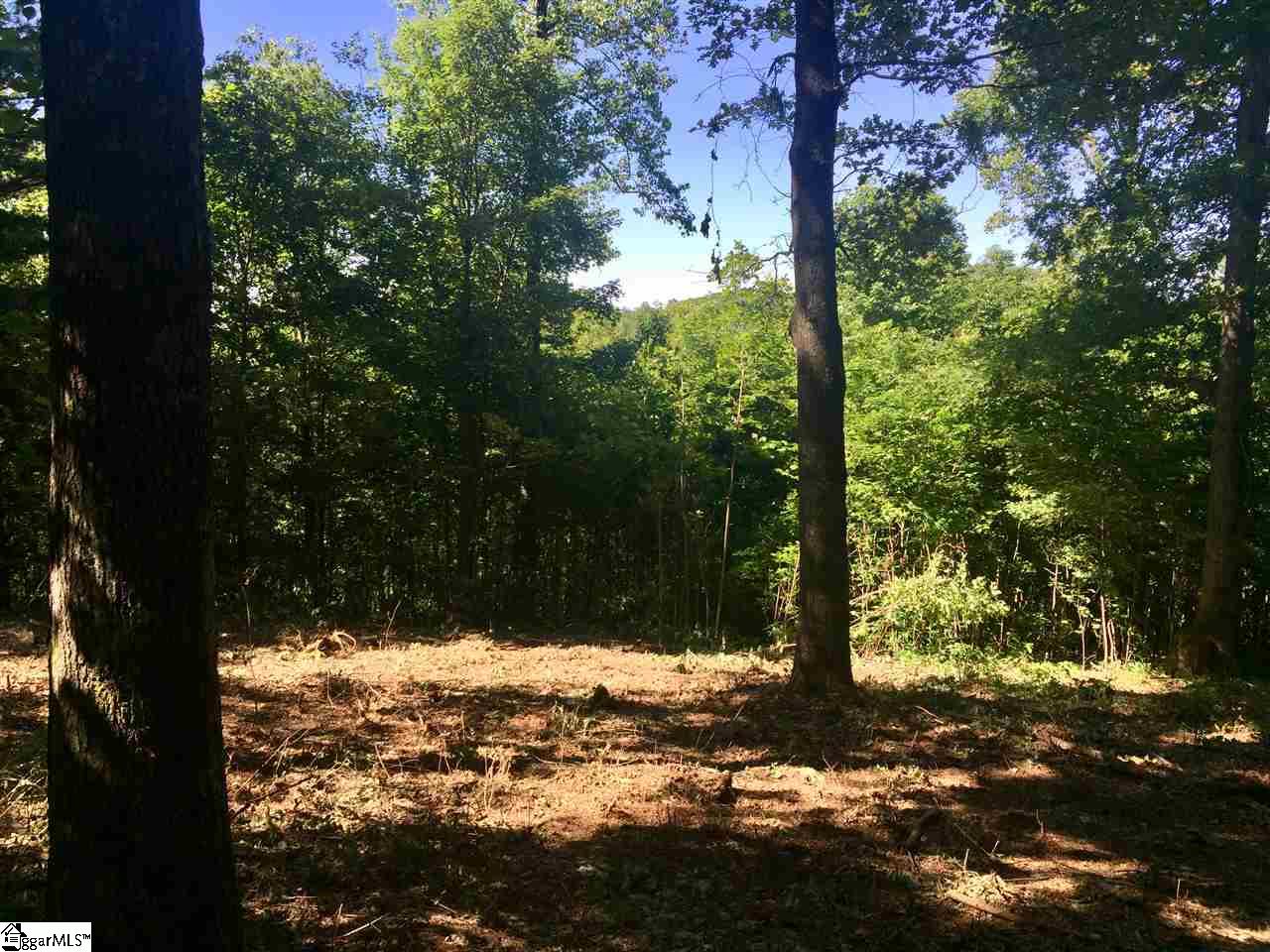28 Wild Ginger Road Landrum, SC 29356 - Photo 2 of 4