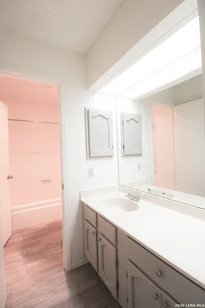 a bathroom with a sink and a mirror