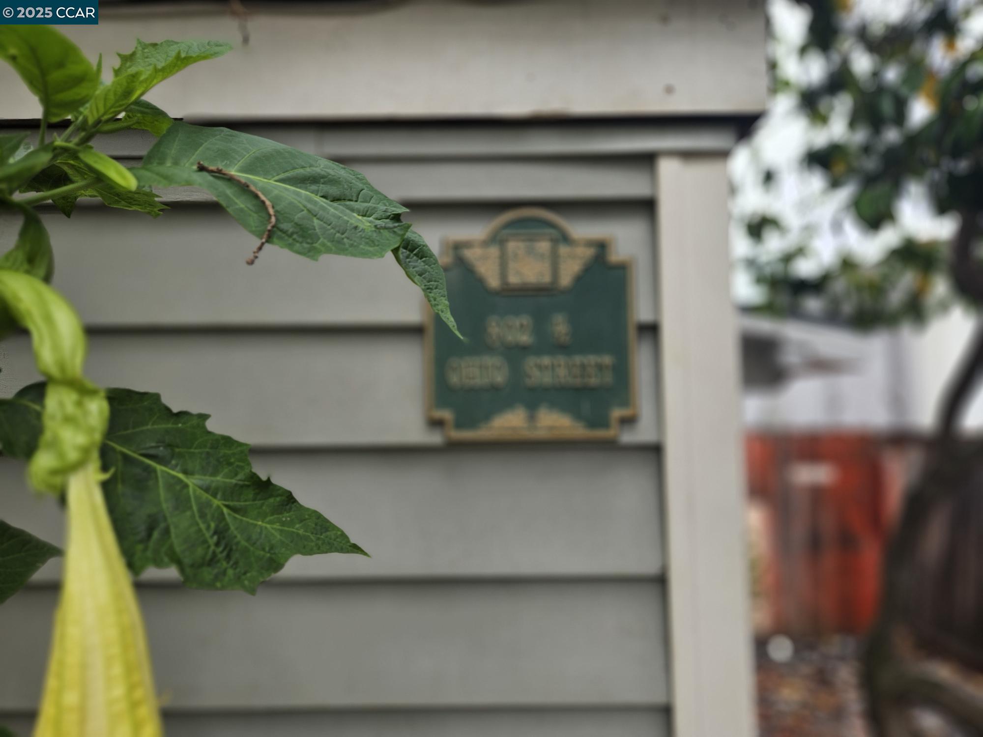 802 Ohio Street Vallejo, CA 94590 - Photo 4 of 14 a close up of a sink
