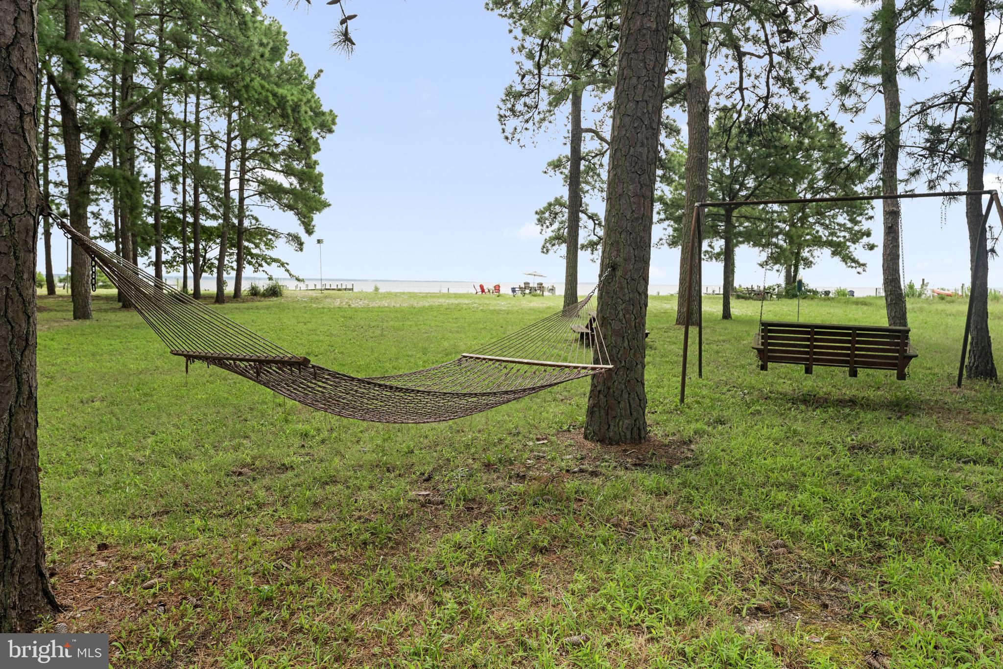 924 Blackbeard Pond Road Hague, VA 22469 - Photo 42 of 48 Hammock for Hanging Out!