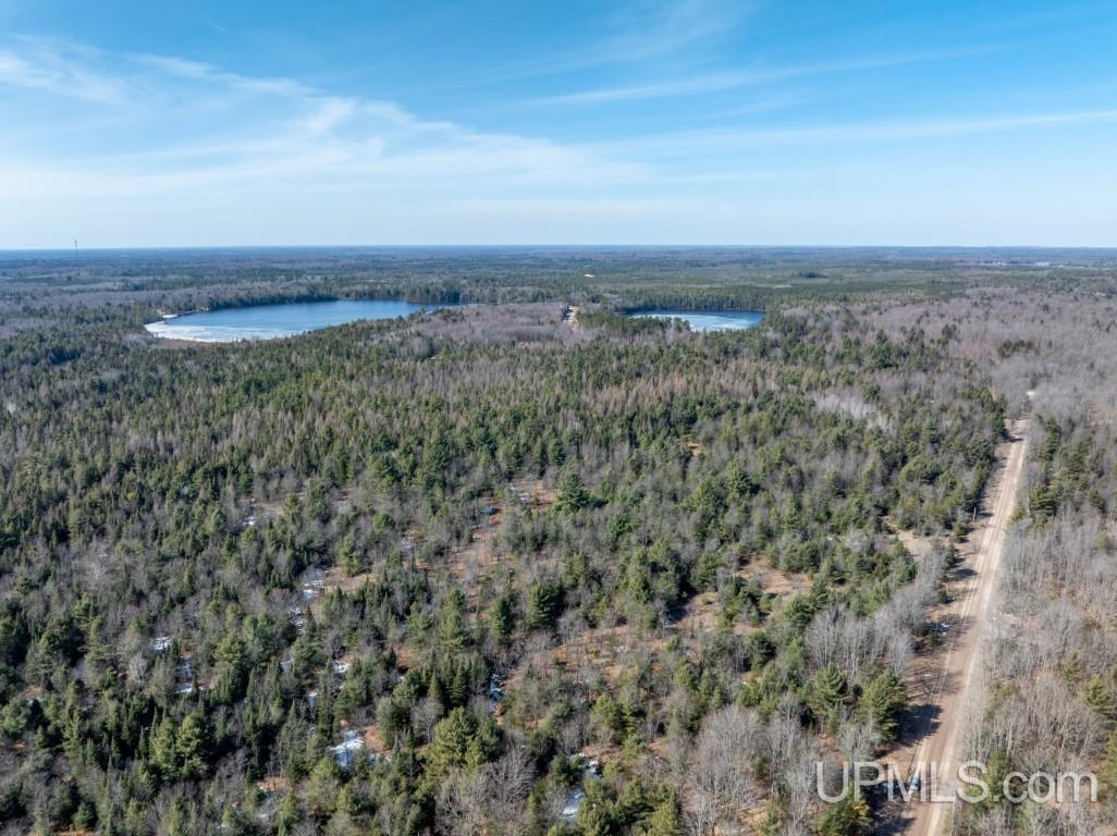 Tbd Dd Road Wetmore, MI 49895 - Photo 5 of 22