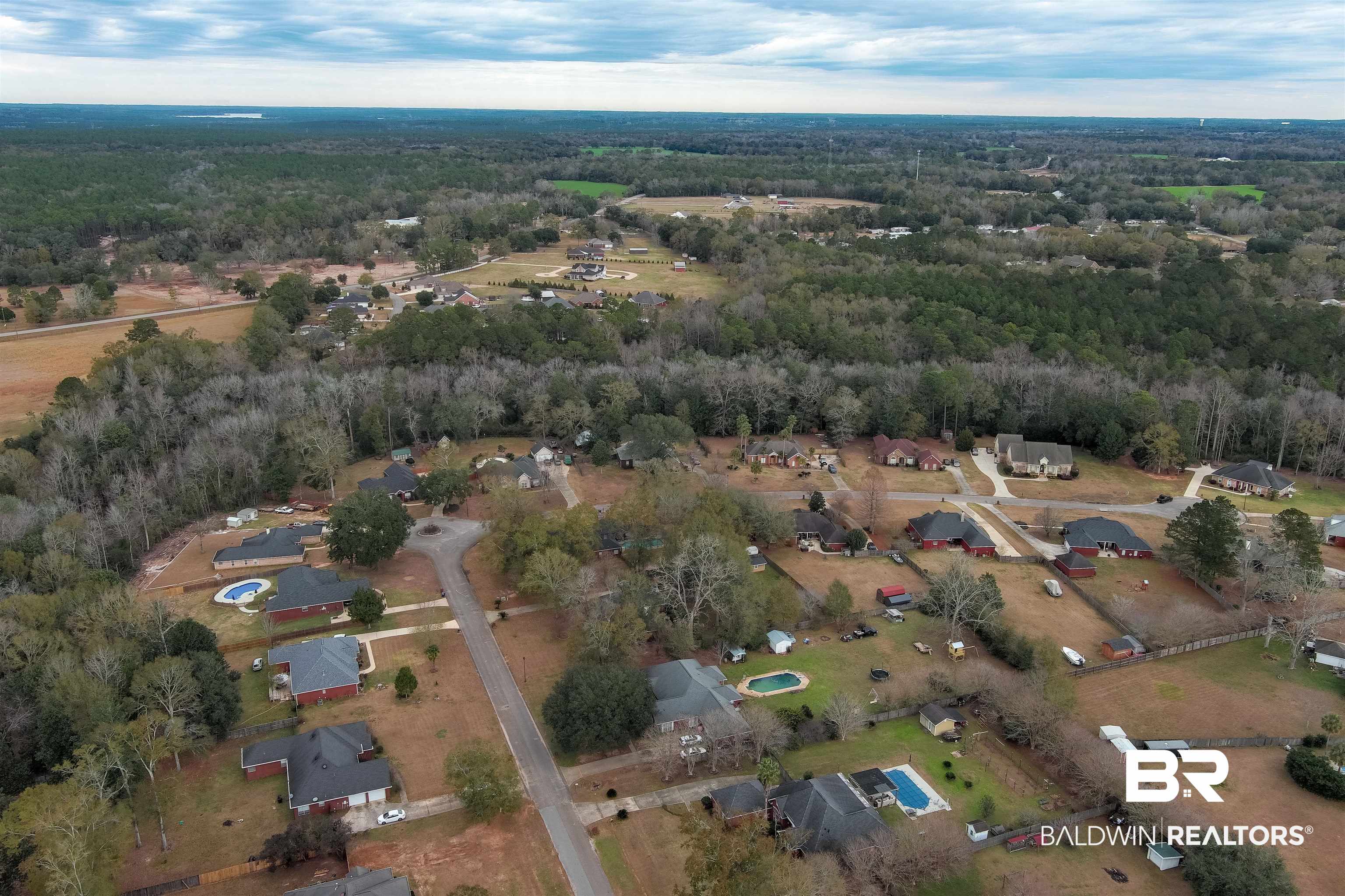 0 North Branson Drive Mobile, AL 36695 - Photo 20 of 20 Birds eye view of property