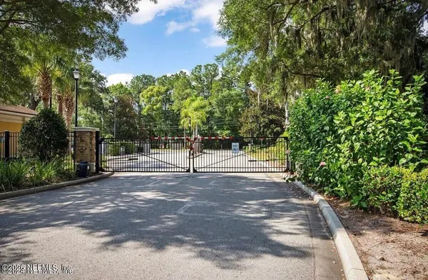 a view of a yard with plants and trees