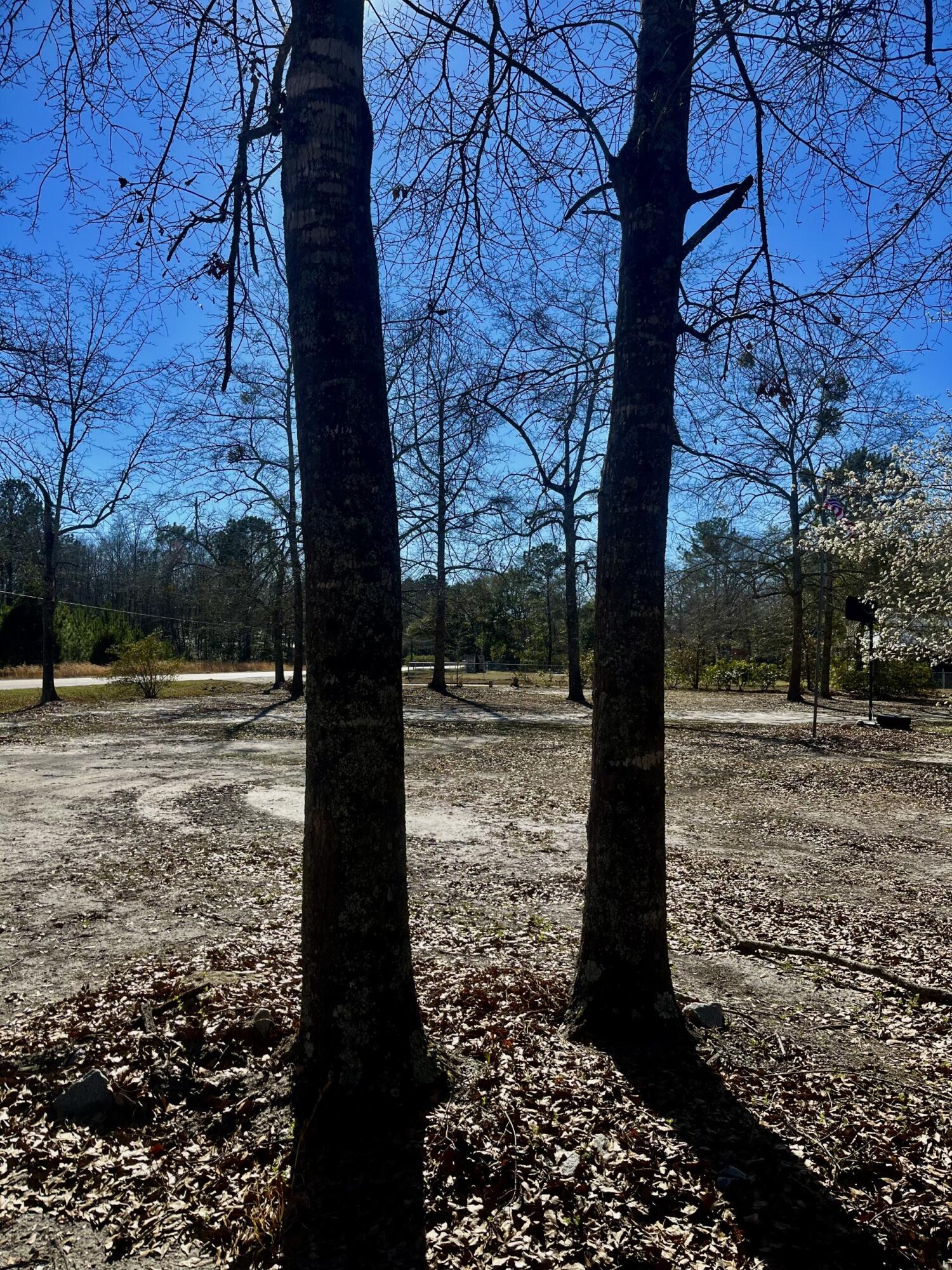 563 Chestnut Road Walterboro, SC 29488 - Photo 22 of 23 thumbnail_IMG_5632