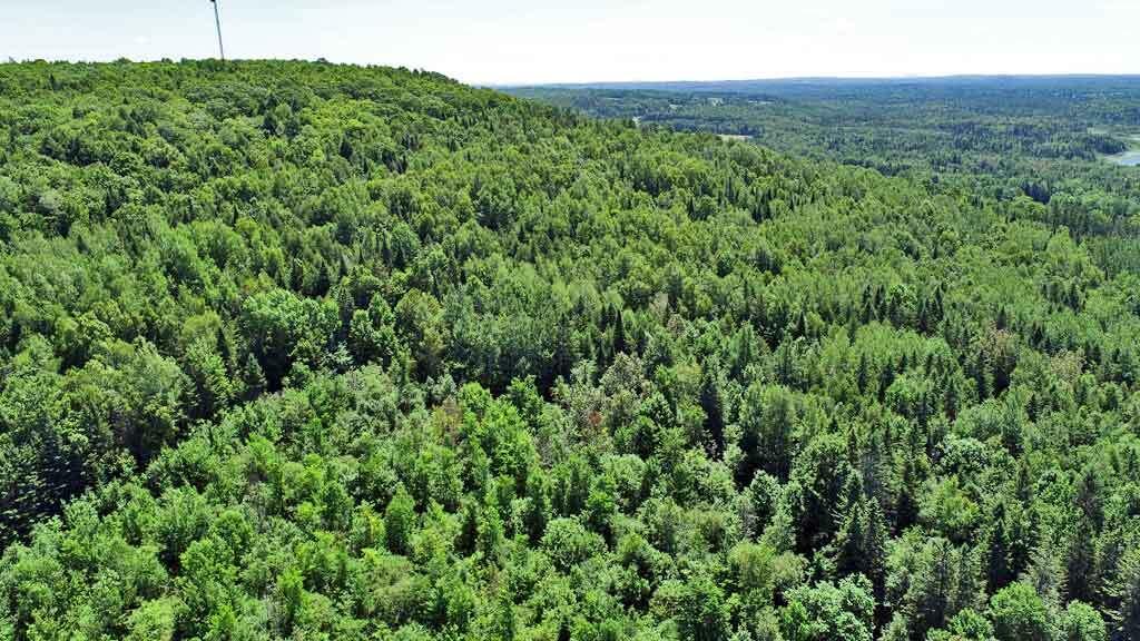 Lot 33 U.S. Rte 1 Orient, ME 04471 - Photo 7 of 18 wooded-land-maine-aerial