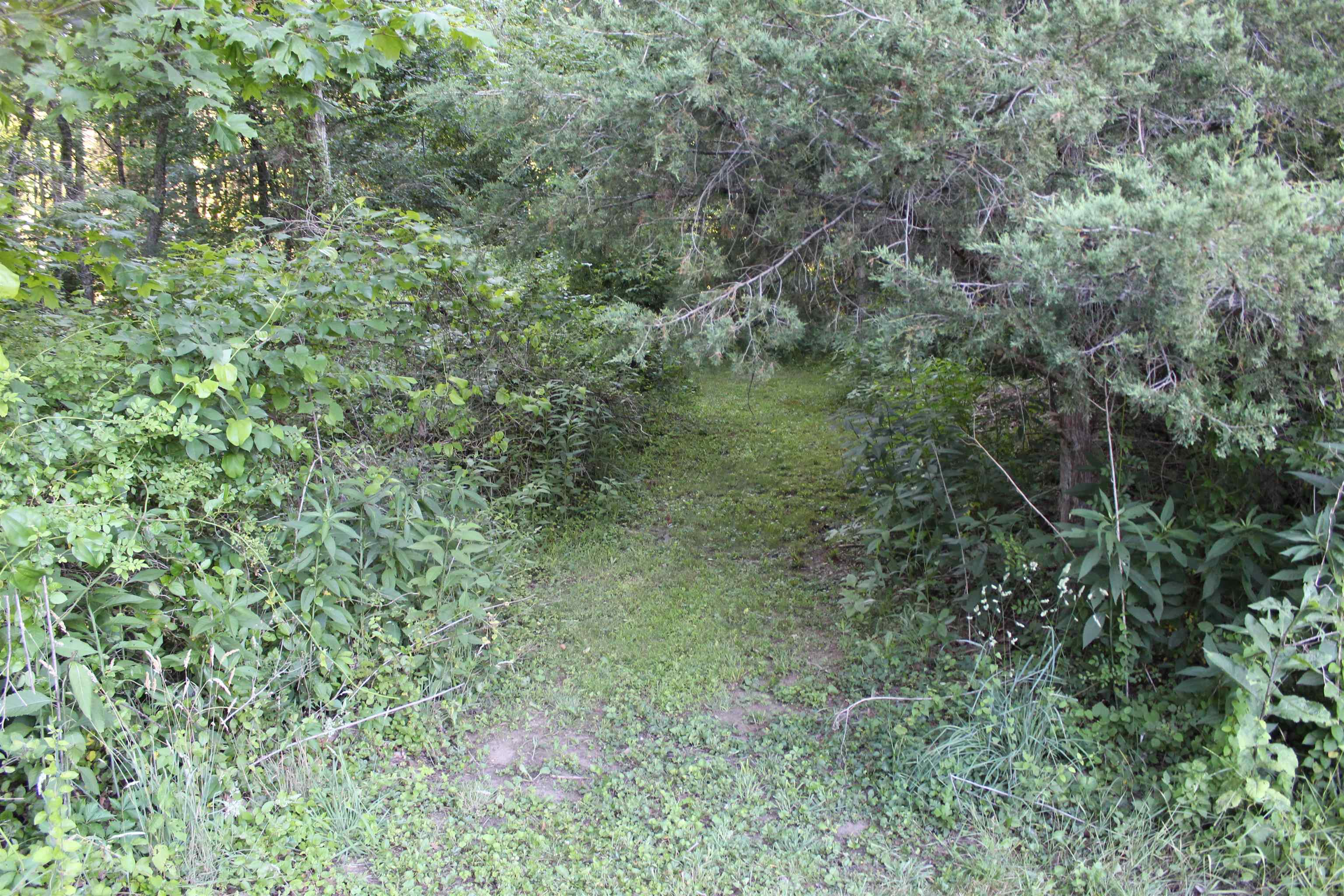 3745 Deerfield Valley Road Deerfield, VA 24432 - Photo 22 of 59
