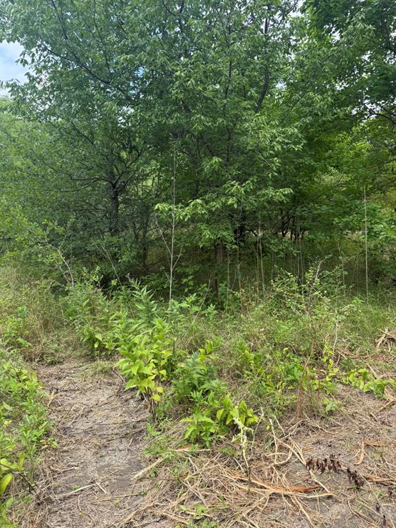 Tbd McKnight Road Ferris, TX 75125 - Photo 10 of 26