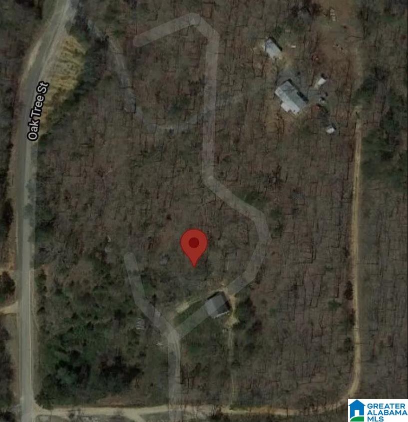 85 Oak Tree Street, Unit 85 Cropwell, AL 35054 - Photo 15 of 15