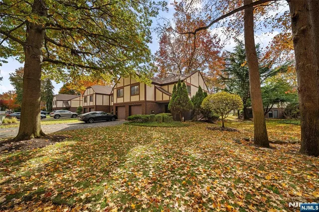 a tree in the middle of a yard