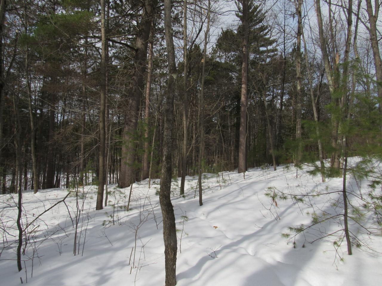 0 Bolger Lake Road Minocqua, WI 54548 - Photo 17 of 21 Gallery Image 17