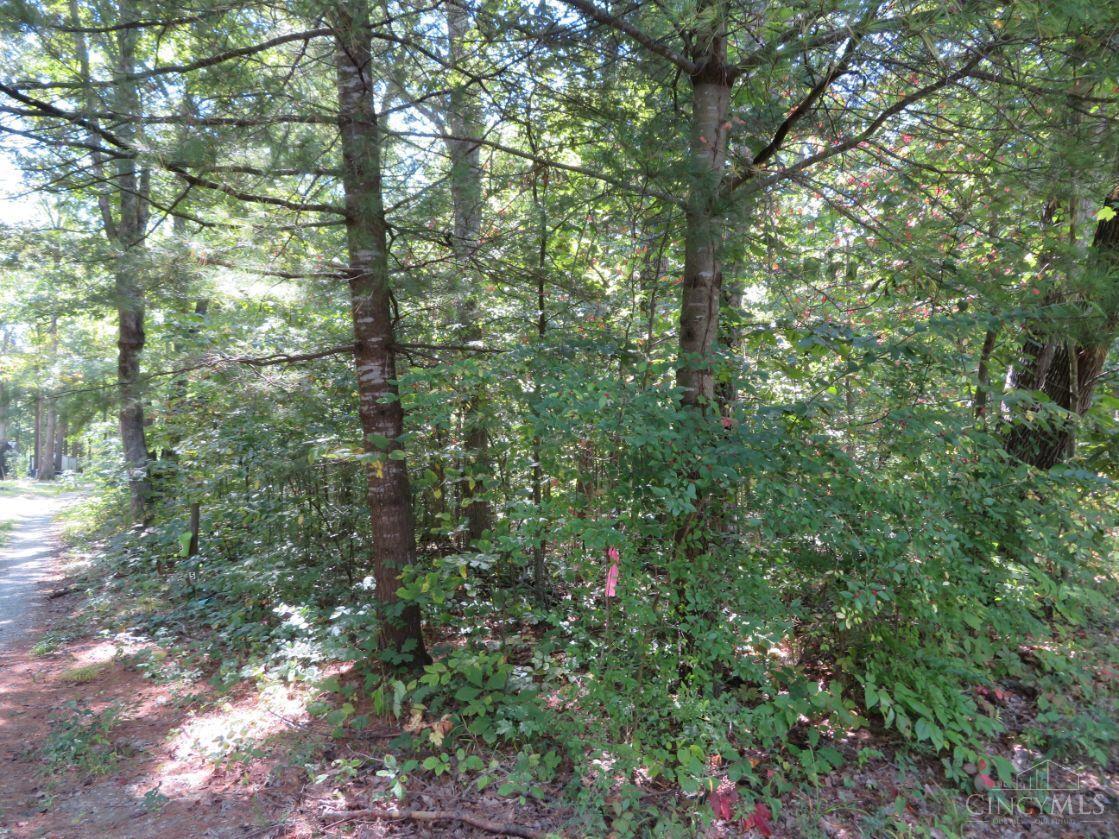 1848 Parker Ridge Road Peebles, OH 45660 - Photo 5 of 8