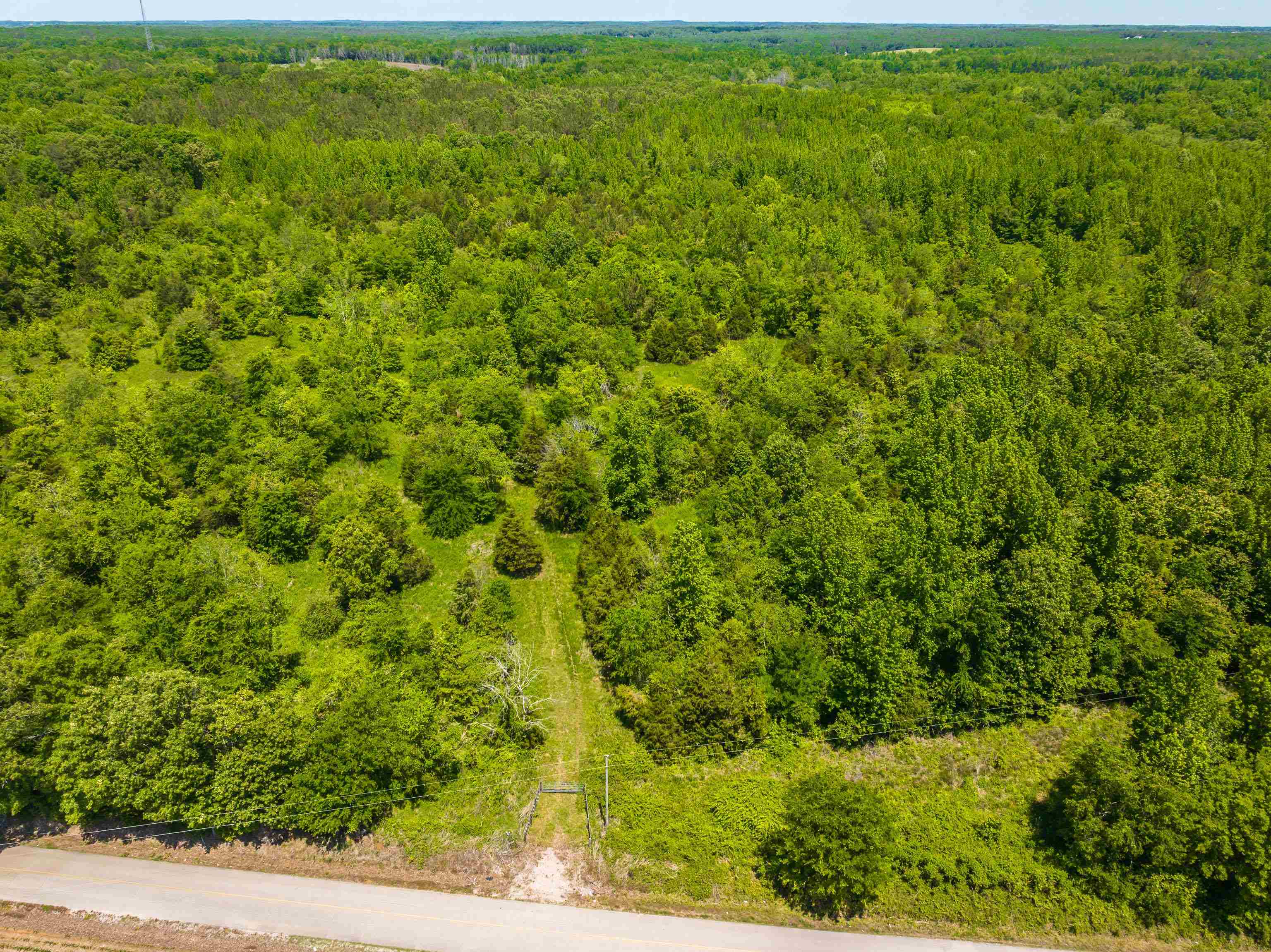 2340 Center Hill Road Finger, TN 38334 - Photo 18 of 21 a view of a green field