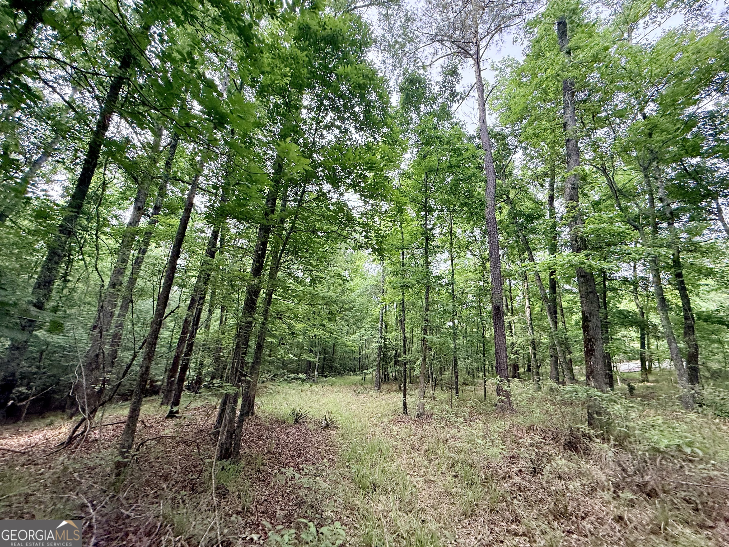 715 Fulsome Creek Road Sparta, GA 31087 - Photo 63 of 117