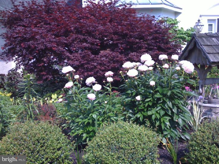 18 Brians Way Princeton Junction, NJ 08550 - Photo 16 of 16 Garden