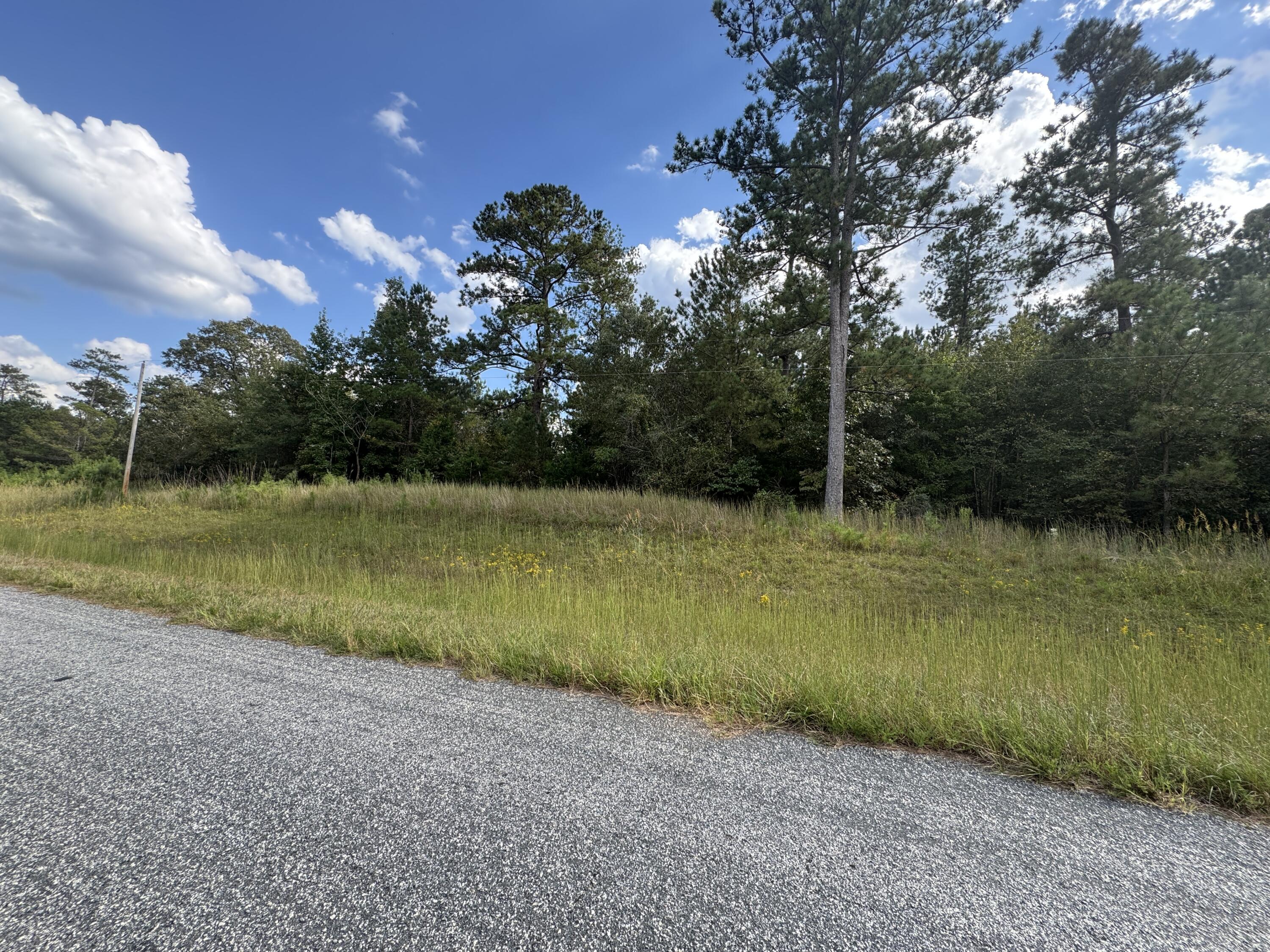 0 Bethany Church Road Tignall, GA 30668 - Photo 2 of 5 Right Front