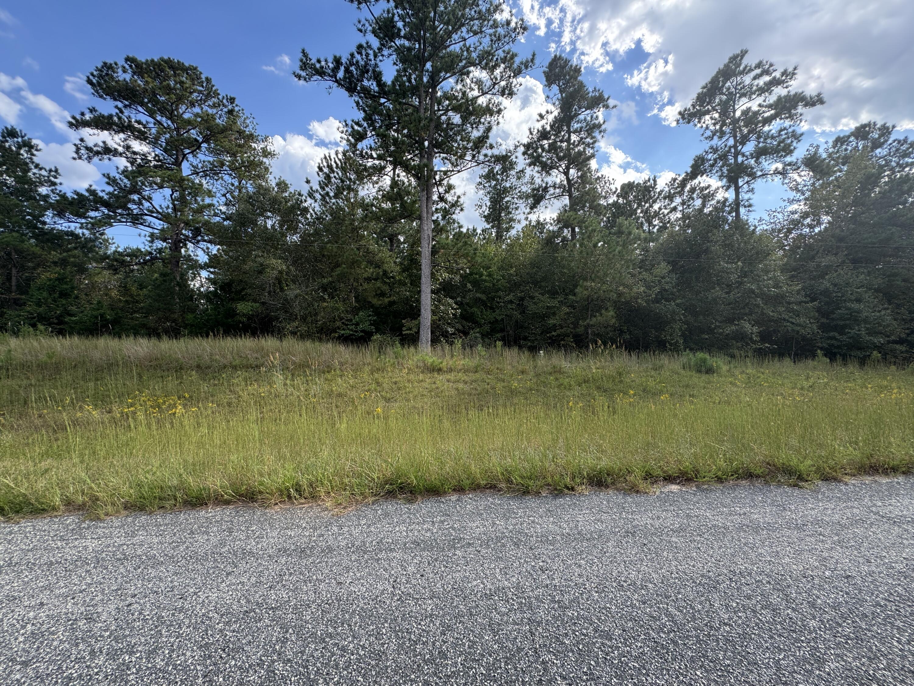0 Bethany Church Road Tignall, GA 30668 - Photo 3 of 5 Front