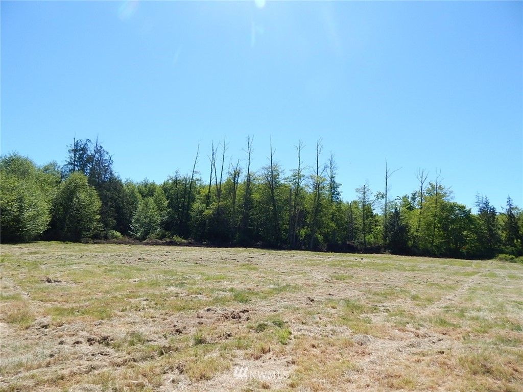 9999 Fern Road Port Angeles, WA 98362 - Photo 2 of 8 Gallery Image 2