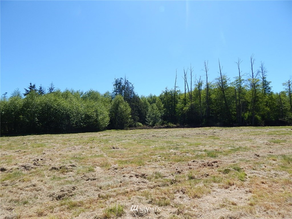 9999 Fern Road Port Angeles, WA 98362 - Photo 3 of 8 Gallery Image 3