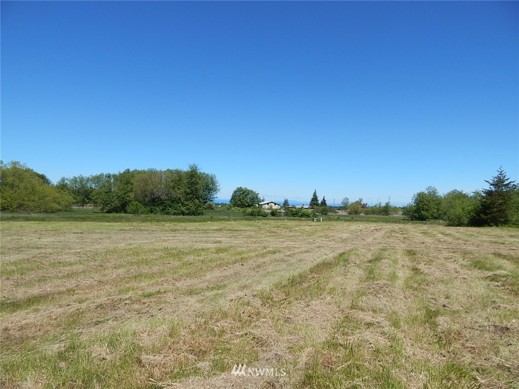 9999 Fern Road Port Angeles, WA 98362 - Photo 4 of 8 Gallery Image 4