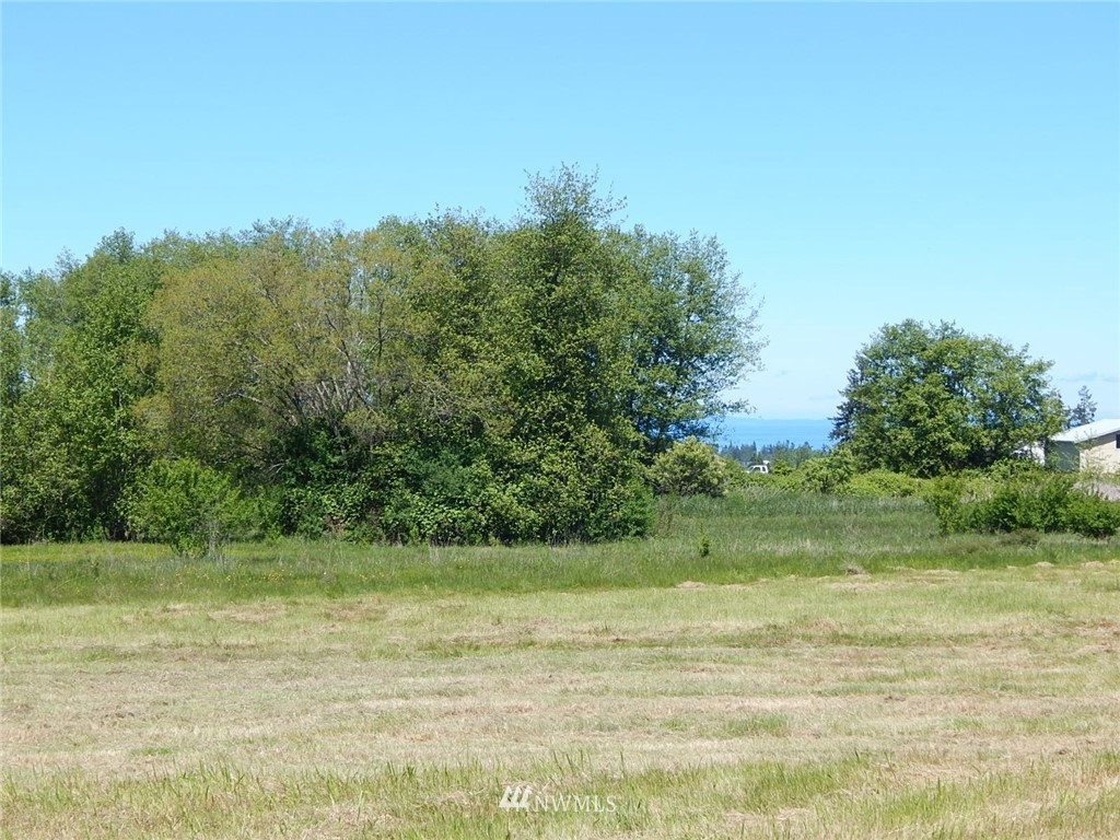 9999 Fern Road Port Angeles, WA 98362 - Photo 5 of 8 Gallery Image 5