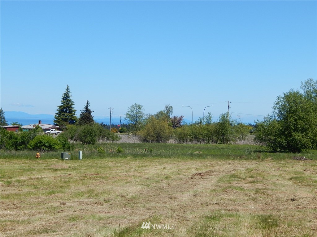 9999 Fern Road Port Angeles, WA 98362 - Photo 6 of 8 Gallery Image 6
