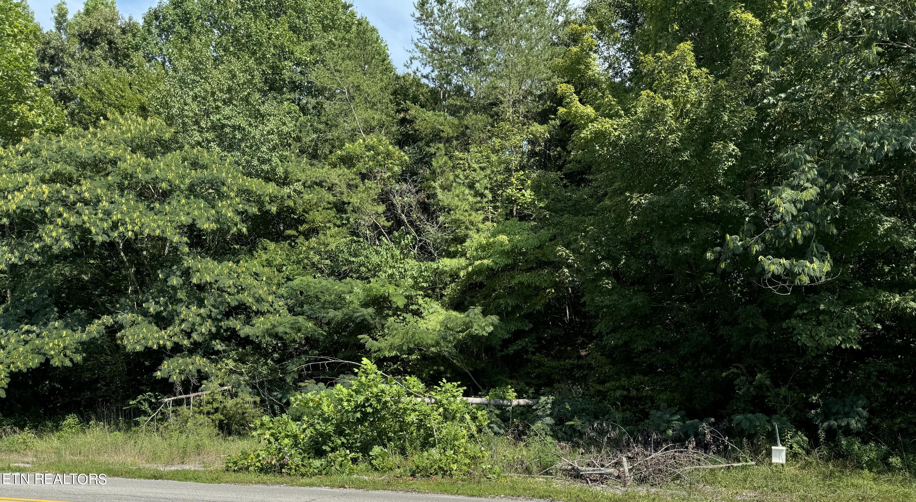 Old Piney Road Maryville, TN 37803 - Photo 1 of 1 IMG_5564