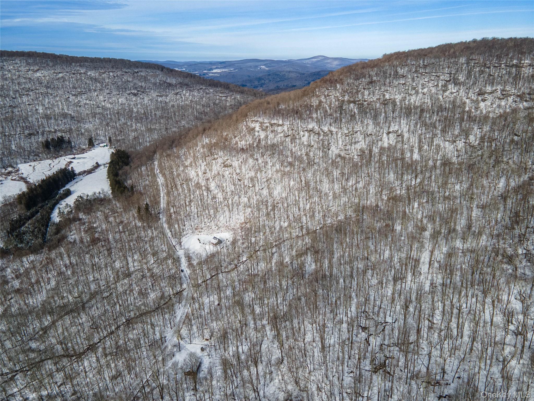 499 Cross Mountain Road Livingston Manor, NY 12758 - Photo 3 of 4 a view of a dry yard with wooden fence