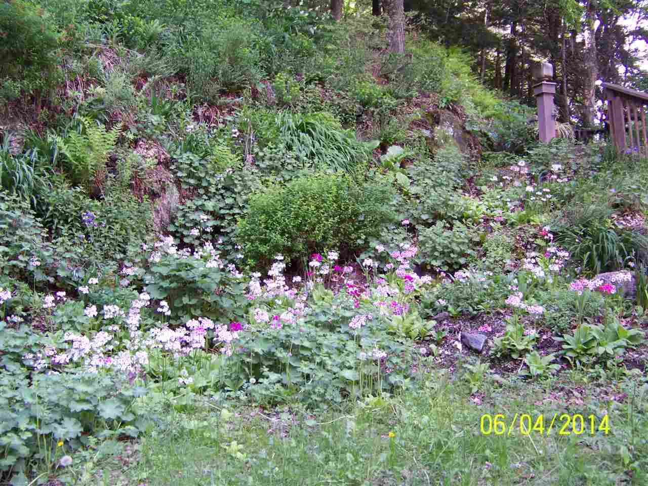 169 Westwind Road Stockbridge, VT 05772 - Photo 6 of 8