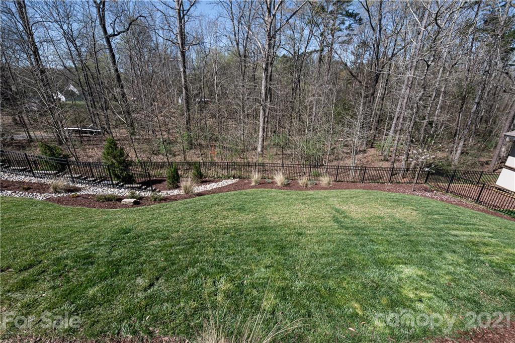 133 Forsythia Lane Tega Cay, SC 29708 - Photo 45 of 48 a view of a park with large trees