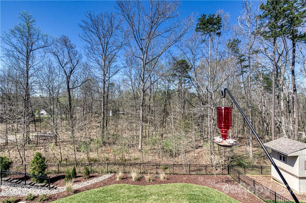 133 Forsythia Lane Tega Cay, SC 29708 - Photo 46 of 48 a backyard of a house with lots of green space